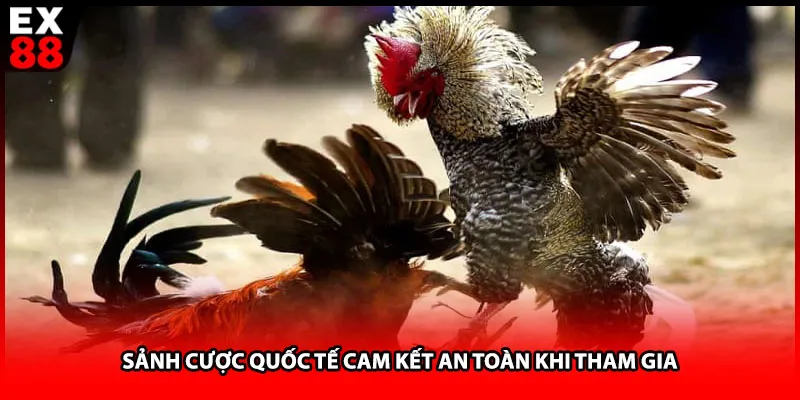 Sảnh cược quốc tế cam kết an toàn khi tham gia